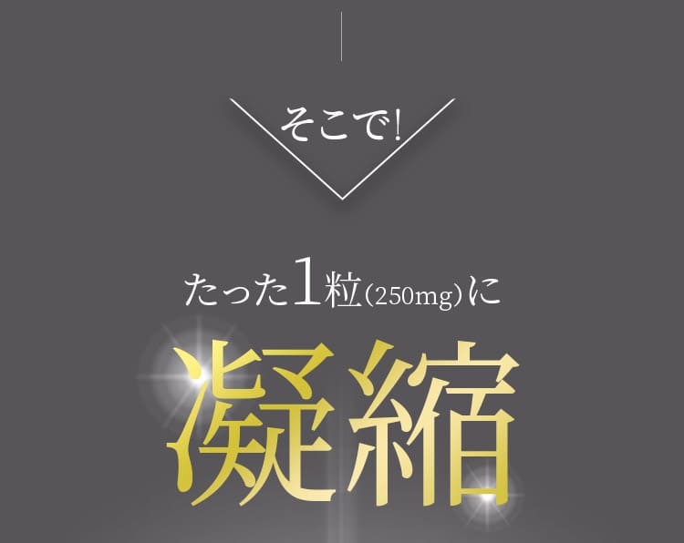 たった1粒（250mg）に凝縮
